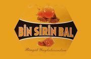 Bin Sirin</