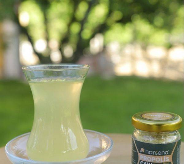 Harşena Propolisli Kış Çayı 15 Gr Harşena Propolisli Kış Çayı 15 Gr