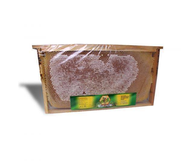 Taşan Dağı Doğal Petekli Çiçek Balı 1 Kg. Taşan Dağı Doğal Petekli Çiçek Balı 1 Kg.